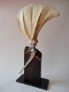 Bild: Scapula